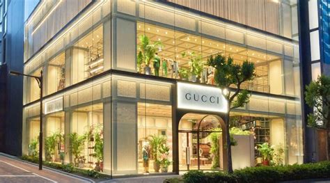 gucci japan shop|gucci.jp.